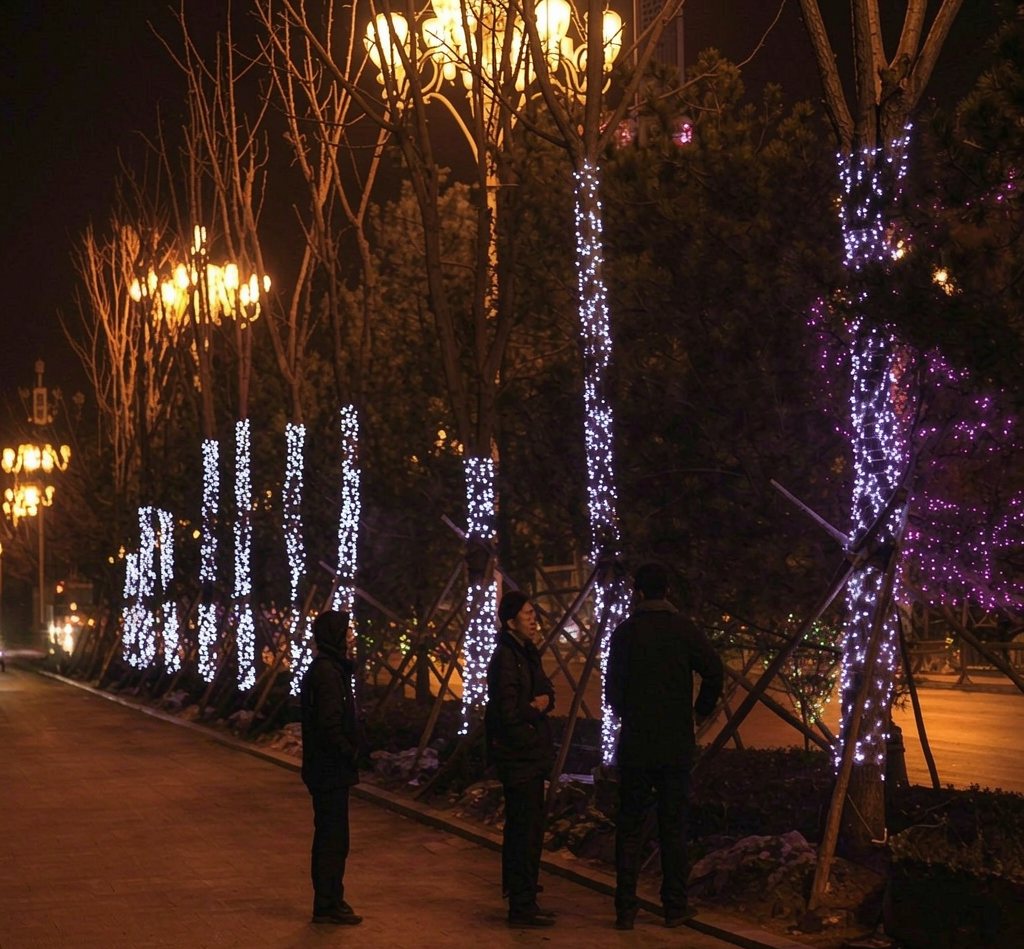 大同市春节亮化